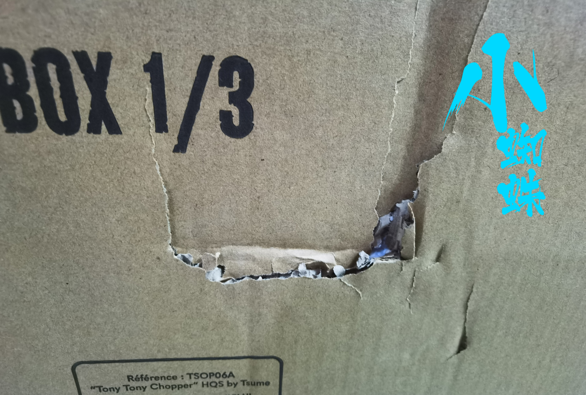 t社乔巴测评,t社同款乔巴