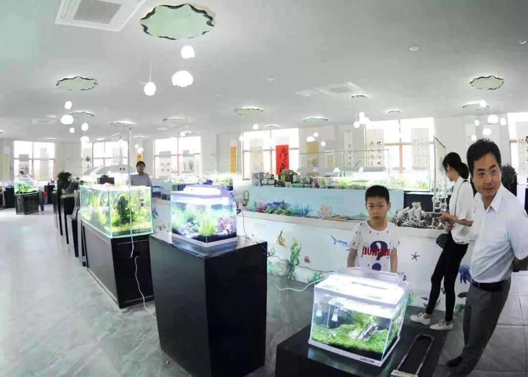 金湖荷花荡图片,金湖荷花荡介绍