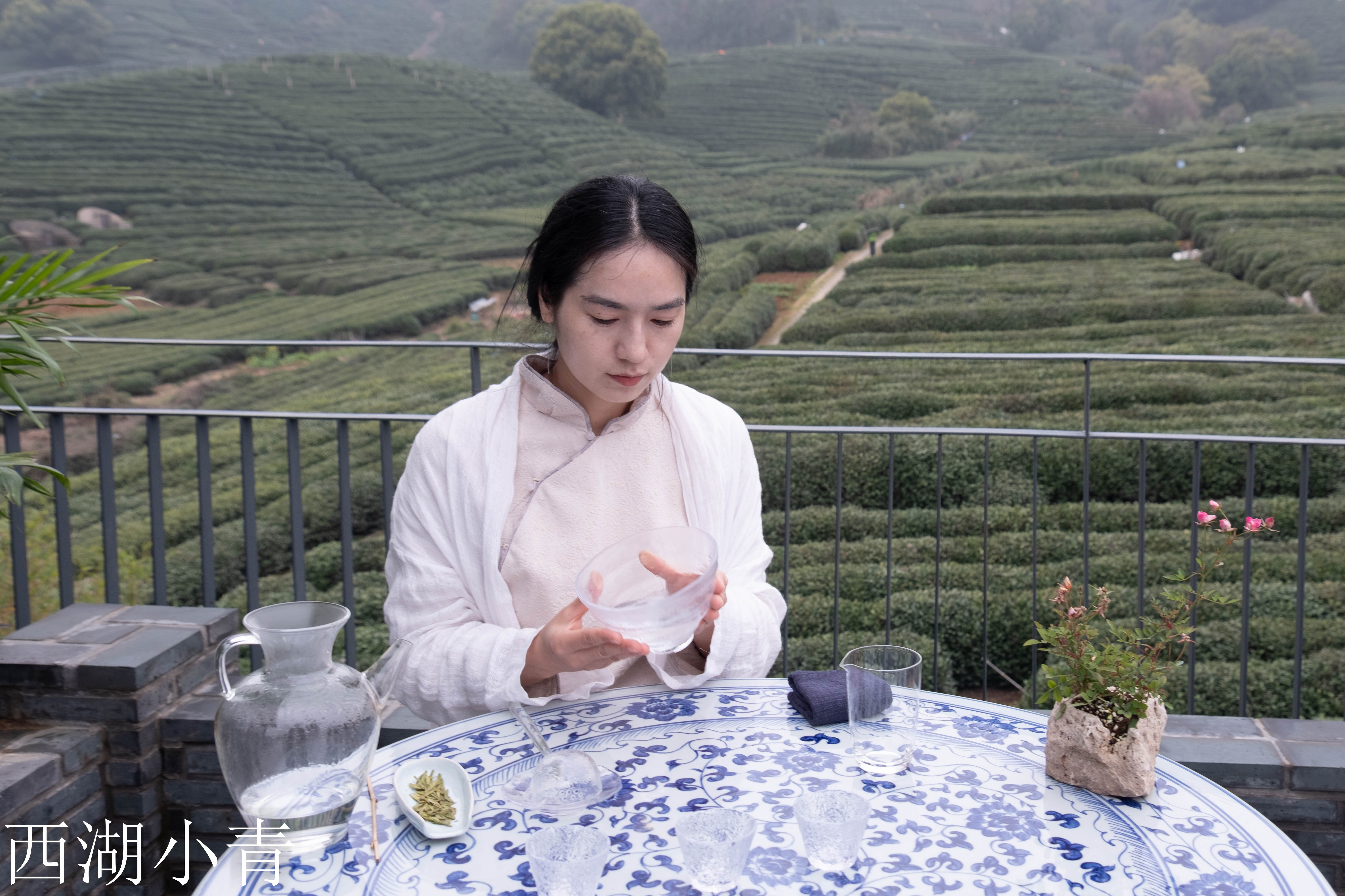 西湖龙井春茶季,龙井茶西湖明前春茶