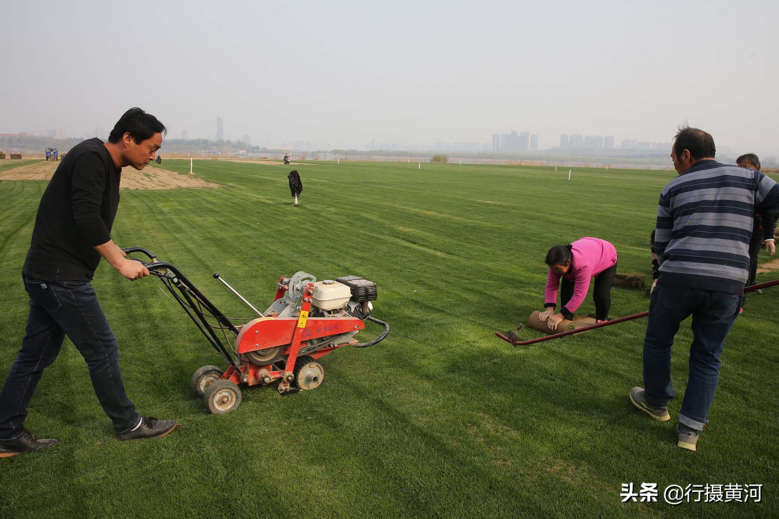 河南一小伙不务正业,小伙不务正业就想卖房卖地
