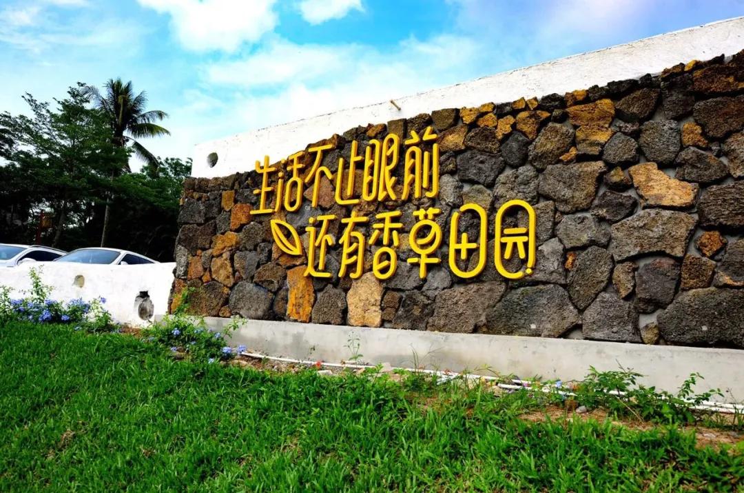 30亩庄园怎么赚钱,30亩农庄营业收入一般有多少