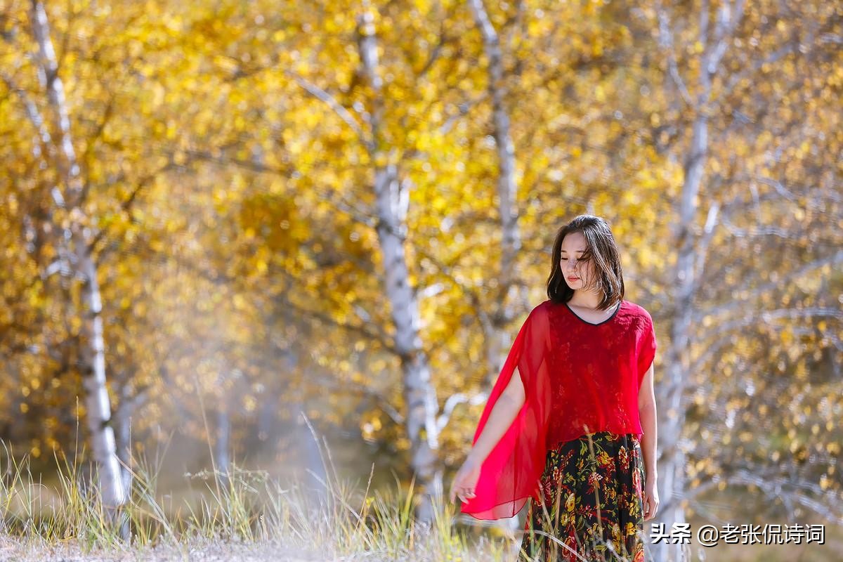 纳兰性德最出名十首诗词,纳兰性德诗词最全版解析