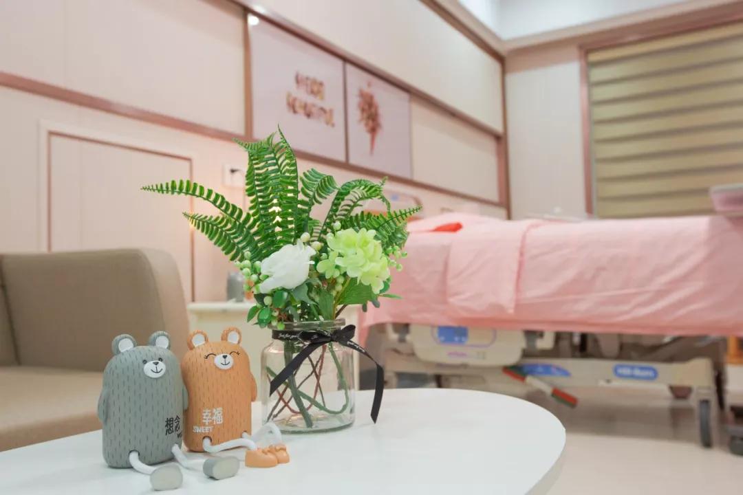 家庭式产房整装,家庭式一体化产房