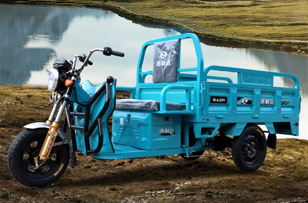 动力最强劲的电动三轮车家用,最新款的电动三轮车有哪些