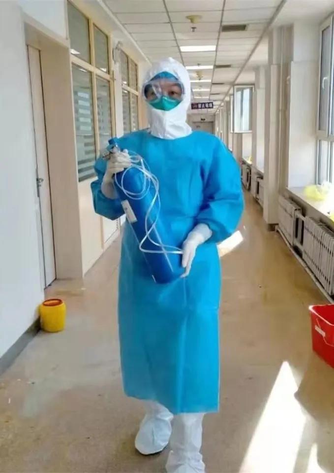 美丽迎春花开了,迎春花盛开的绝美春日盛景