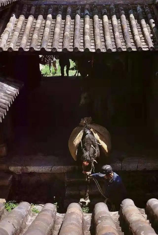 仲夏：在一本古籍中与明朝的云南县相遇