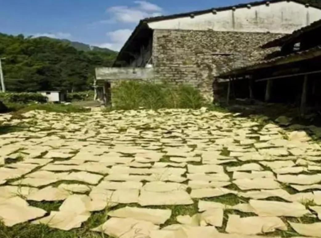 百千桑梓地亿万老家人什么意思 (百千桑梓地亿万老家人完整版)