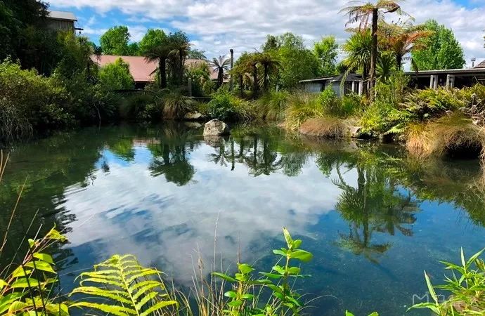 难忘的新西兰之行,在新西兰难忘的日子