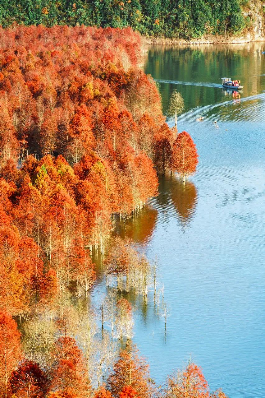 秋天的杭州自驾游,杭州秋冬自驾