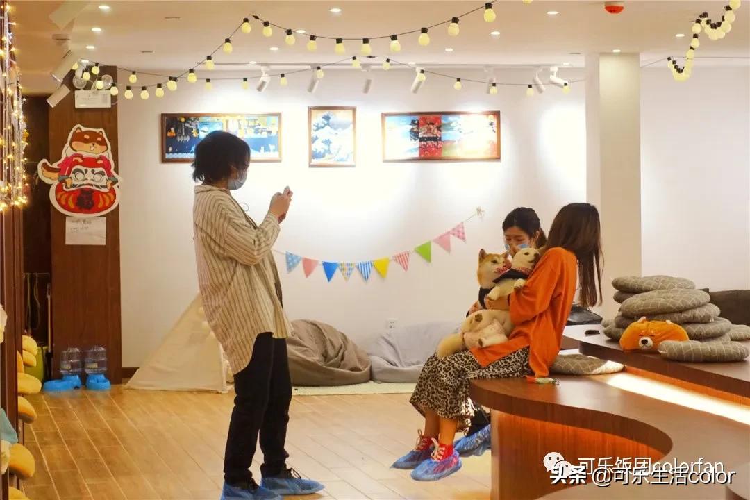 广州撸柴胜地！仲有怀旧零食、游戏室激萌柴犬周边