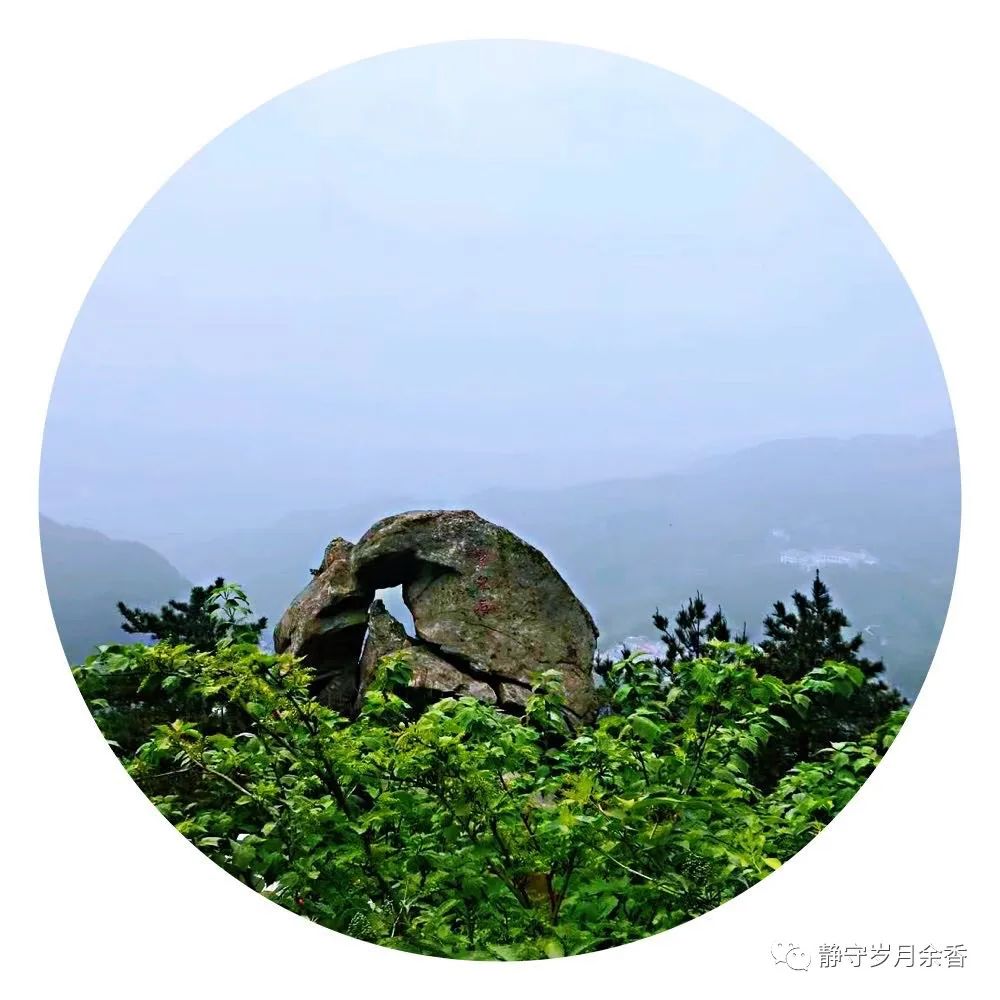 情满龟峰·诗涌花海