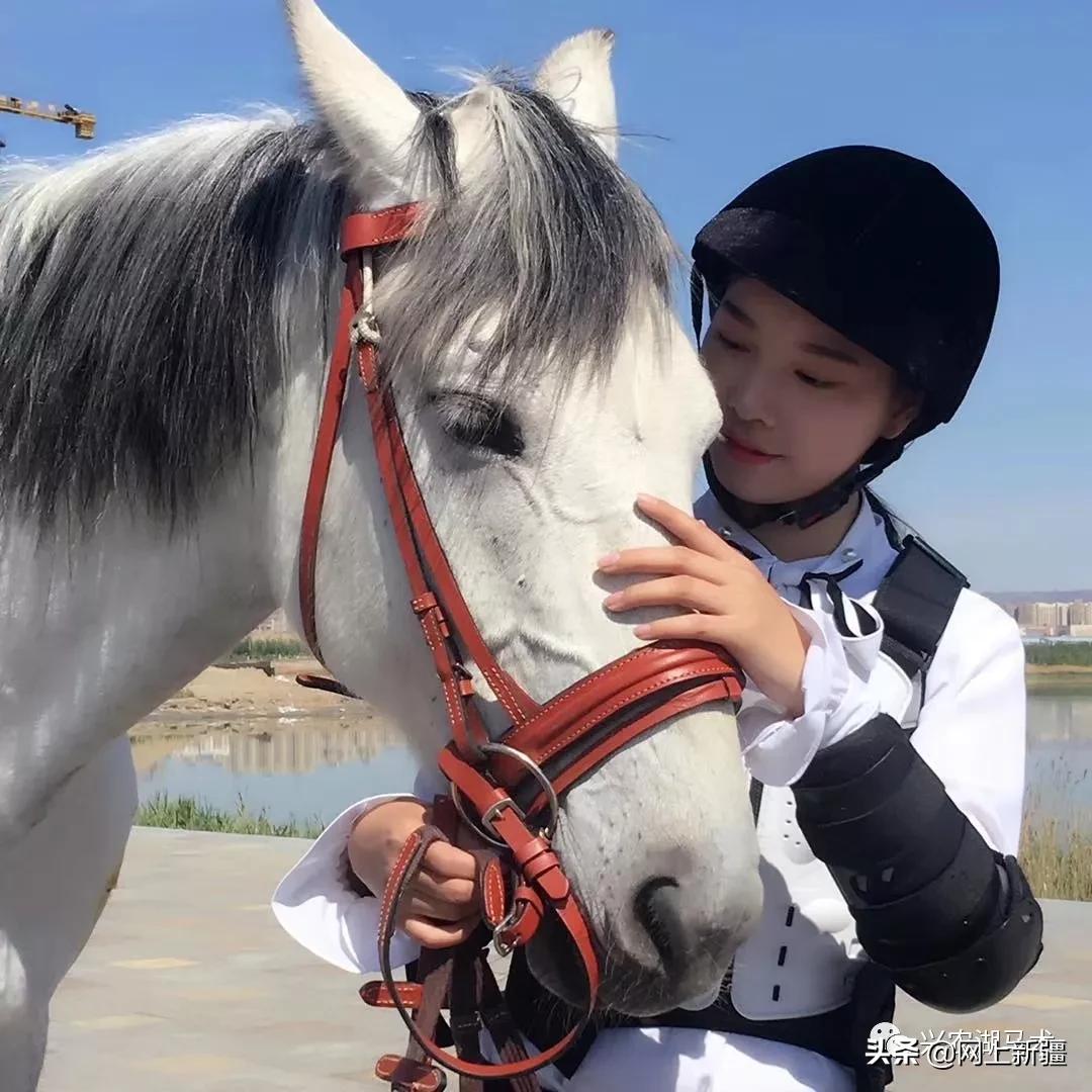新疆那边的马是什么品种,如何挑选新疆马