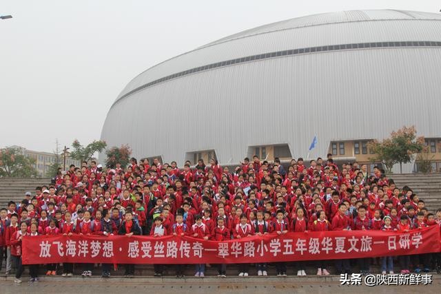 放飞海洋梦想感受丝绸传奇观后感,放飞海洋梦想感受丝路传奇研学题