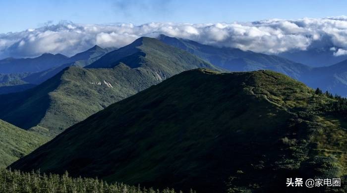 干衣机市场竞争分析,干衣机的市场前景