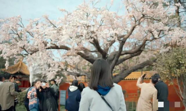 宫廷太监爱上大学校花？“禁穿越”的第8年，真是越来越可笑了