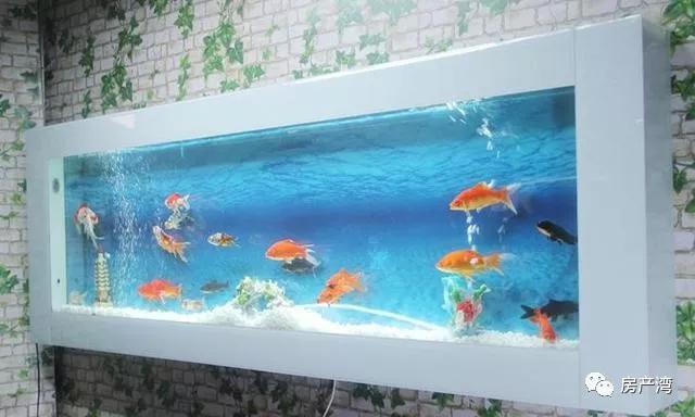 金鱼怎么养鱼不会死,金鱼全死了后怎样重新养鱼