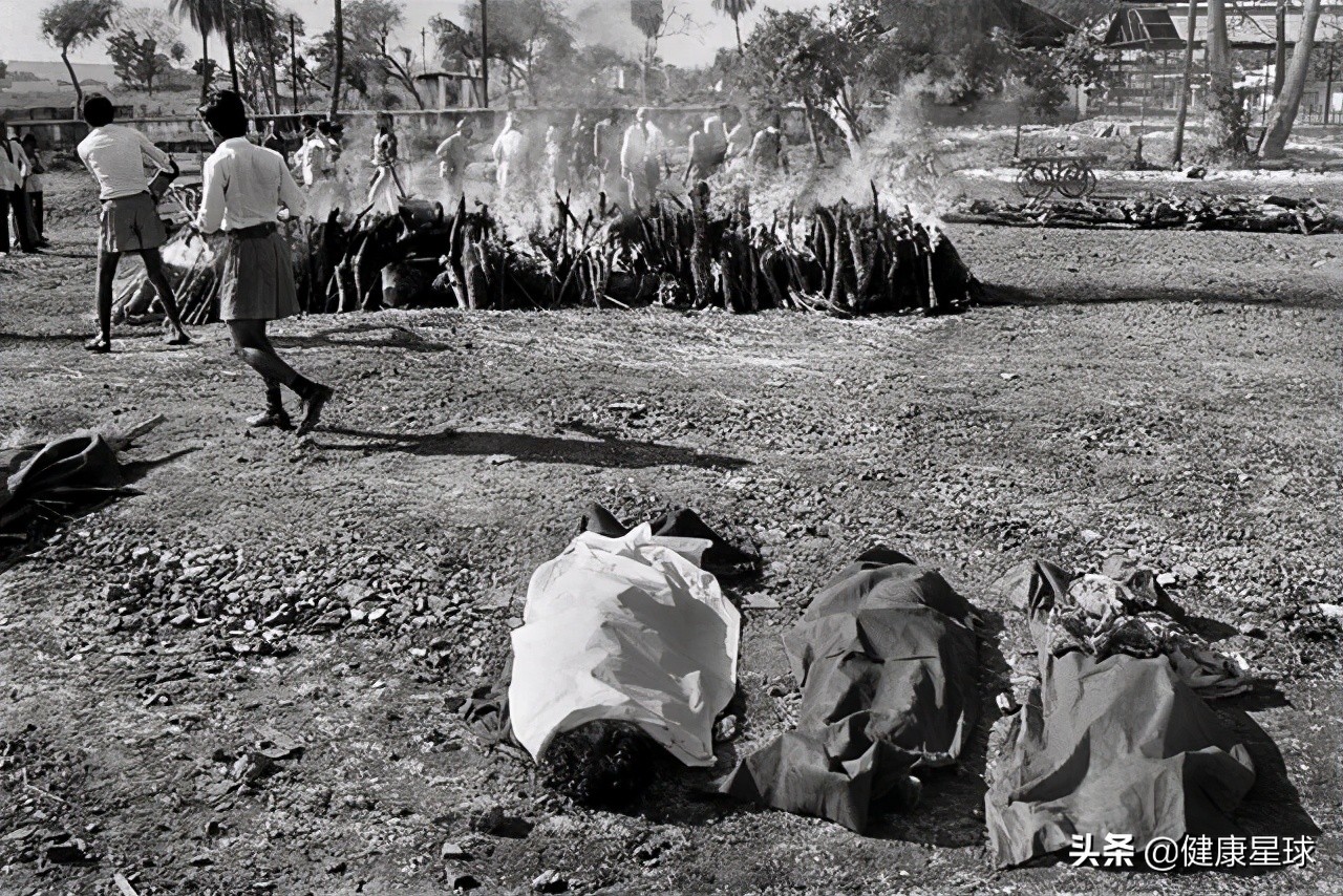 这一次不再沉默，为健康的地球发声，为未来负责