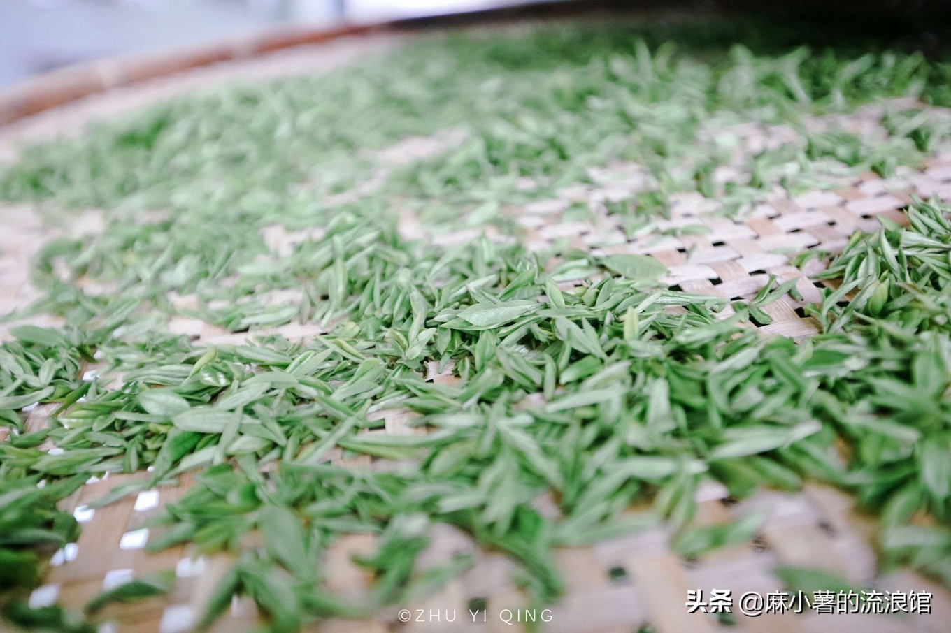 最早的抹茶是什么茶做的,日本抹茶源于中国唐宋的点茶法