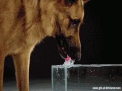 科普张姿势动图：感觉自己姿势又涨了100点