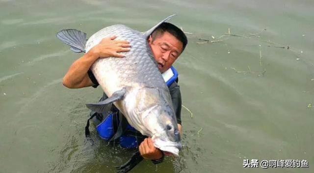 初学钓鱼，谁是你的启蒙老师，又是谁带你走进更深层次的钓法？