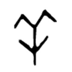 古代胡人和羌族人是现在哪里,胡人羌族