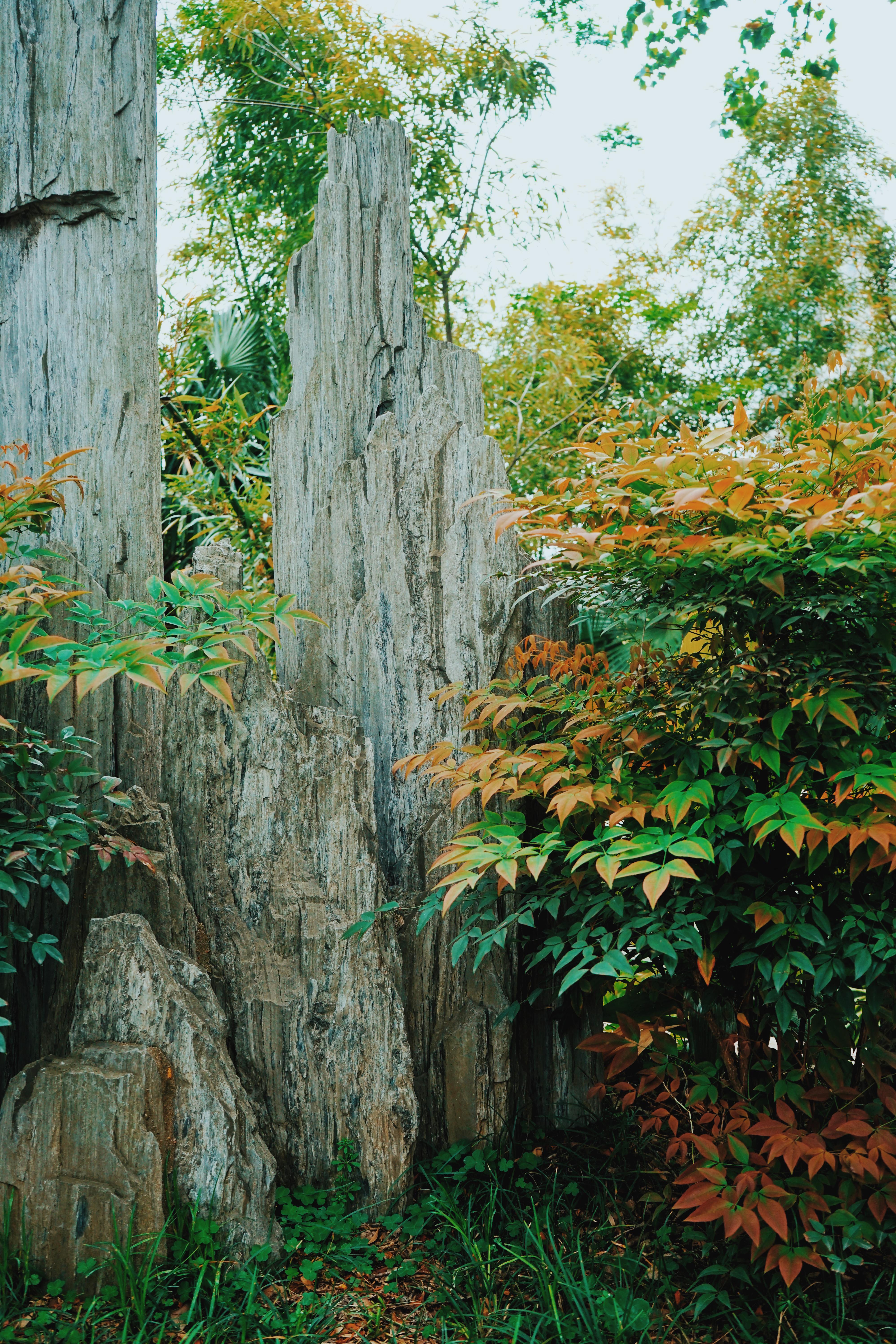 森林公园清凉山,清凉山一道美丽的风景线