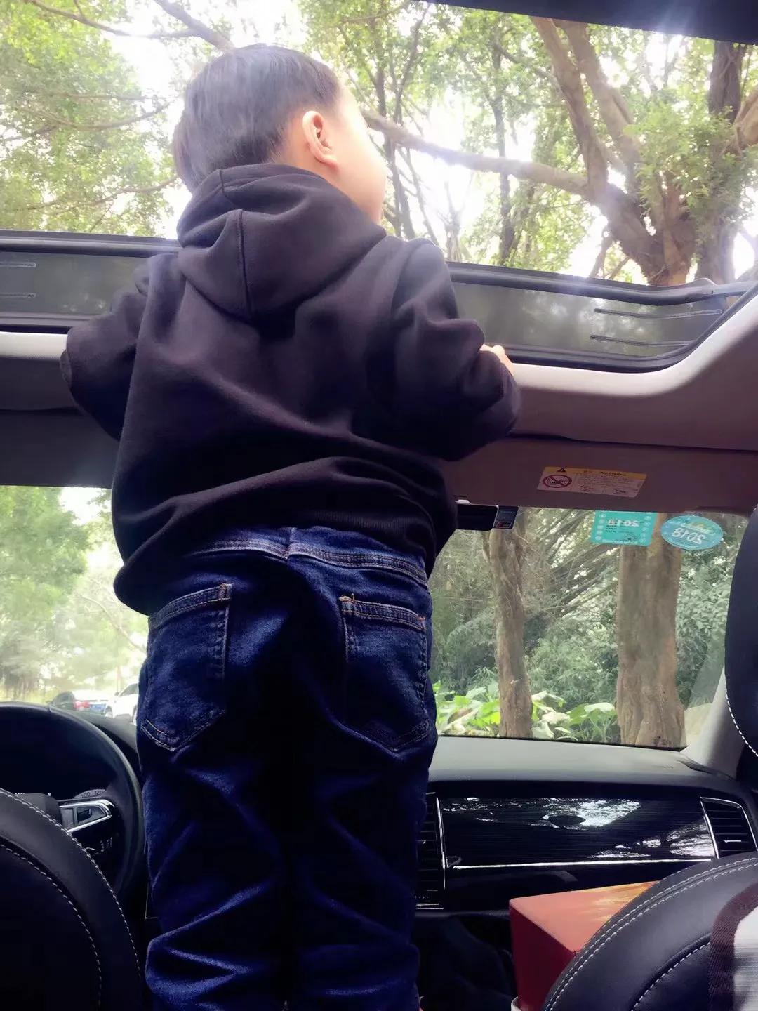 长隆野生动物世界到珠海海洋王国,去长隆野生动物世界需要注意什么