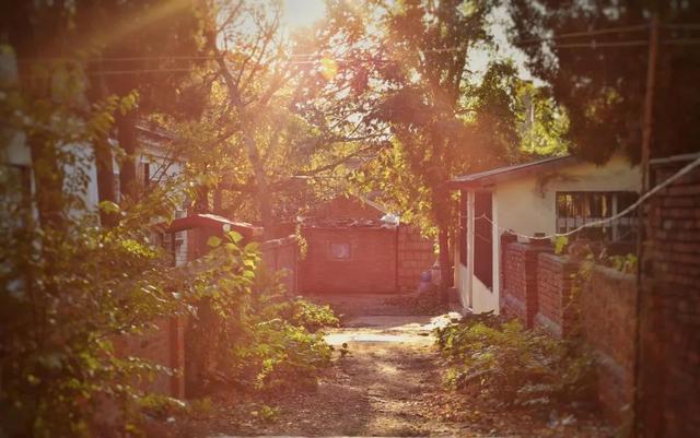 突然就想去旅游了,忽然间就想去厦门了