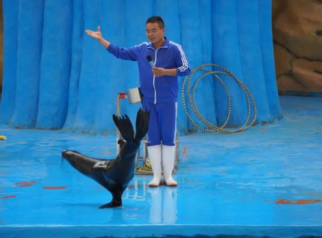 金牛湖野生动物王国过年去怎么样,金牛湖野生动物王国游玩时间