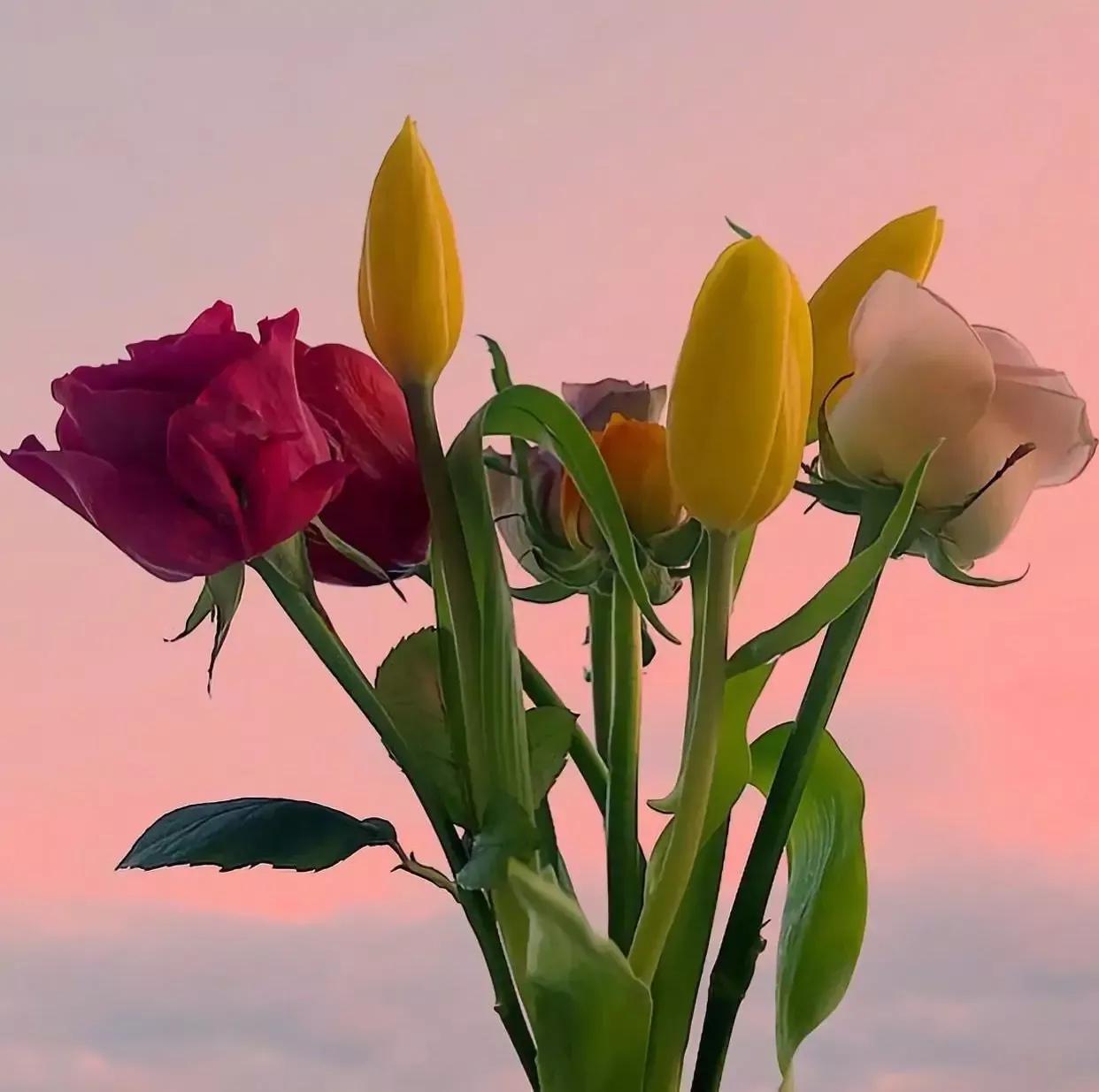 聪明的女人是怎么面对男人的绝情,男人很绝情的时候女人该怎么做