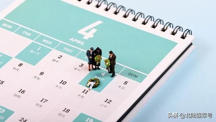 无花无酒过清明的下一句,无花无酒过清明