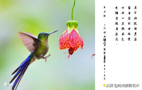 微信图片配文字好听的,微信图片文字怎么搭配