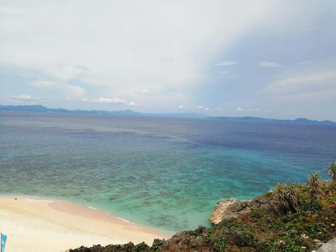 单身狗吃饭旅游走走停停 (单身狗吃饭旅行走走停停)