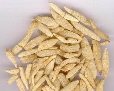 每天学习一味中药两分钟,45天学一味中药