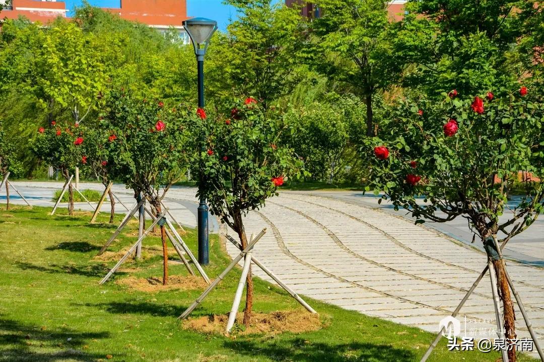 楂樻牎椋庨噰绯诲垪,楂樻牎椋庨噰灞曠ず瑙嗛