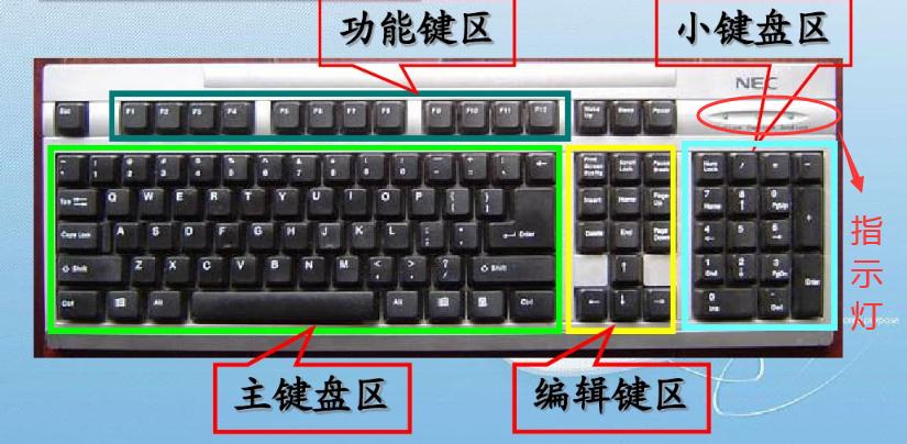 认识电子琴键盘,认识计算机键盘