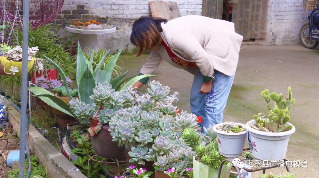 上蔡县朱里镇拐子杨村,全国文明村拐子杨村