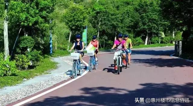 大亚湾怎么样了,你以为的大亚湾vs真正的大亚湾