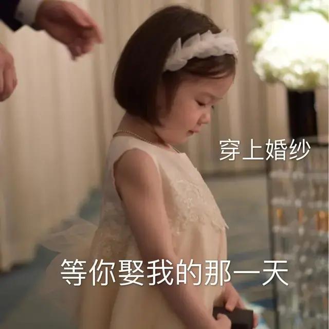 表情包：我现在的经济状况，找快递盒里好评返现的纸条。