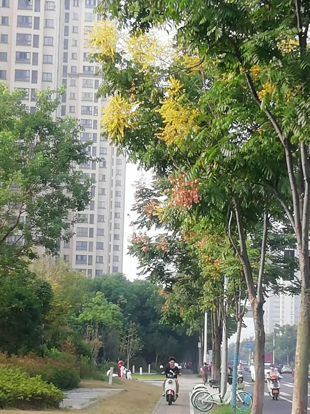 草木人间和燃冬,草木和人间