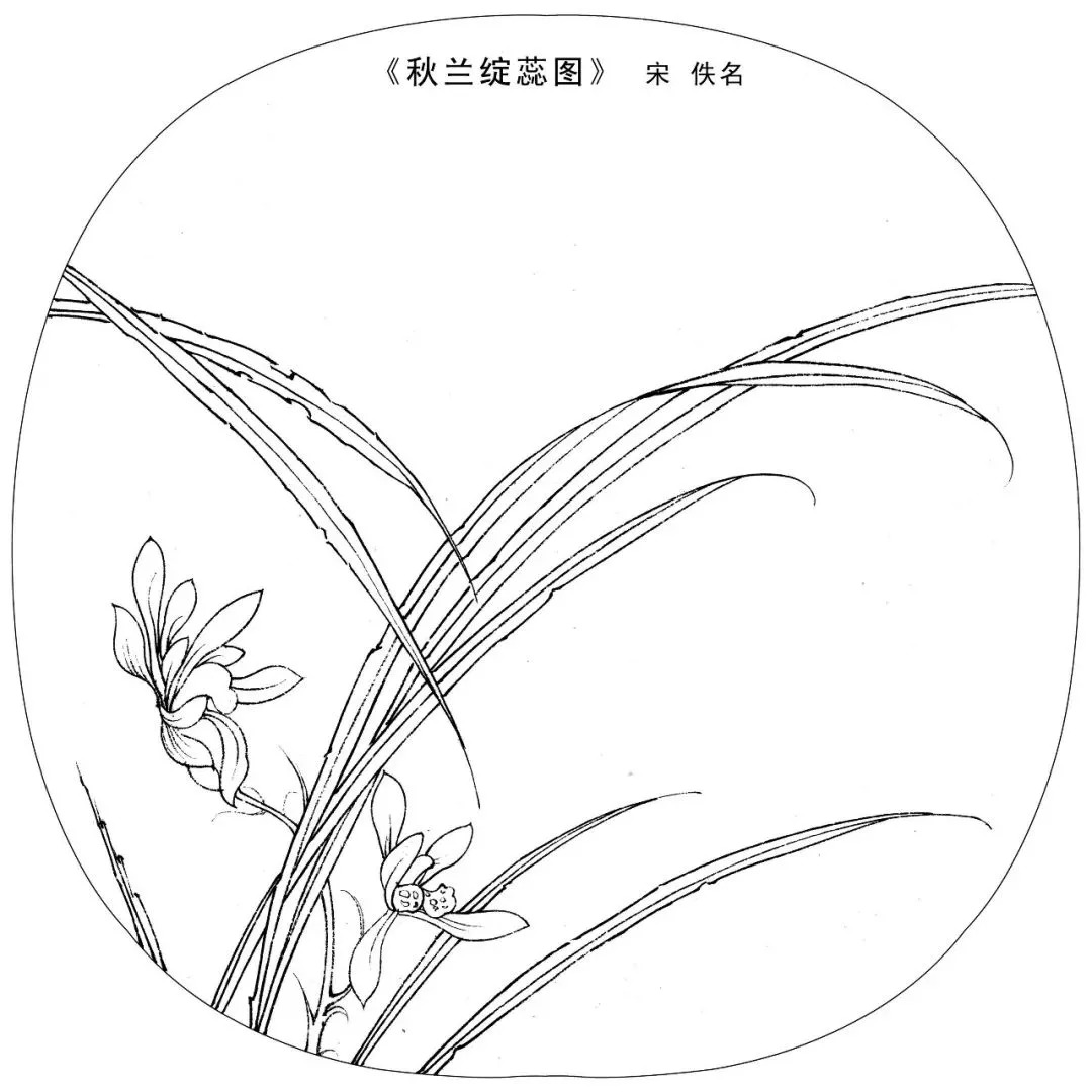 宋人工笔白描,宋人小品花鸟工笔白描高清图