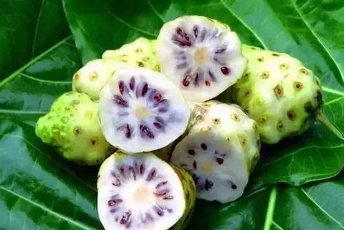 世界这么大你知道有几种水果吗,世界上都有哪些可以吃的水果