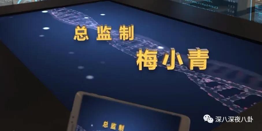 法证先锋4真的有那么难看吗,当初有多少期望如今就有多失望