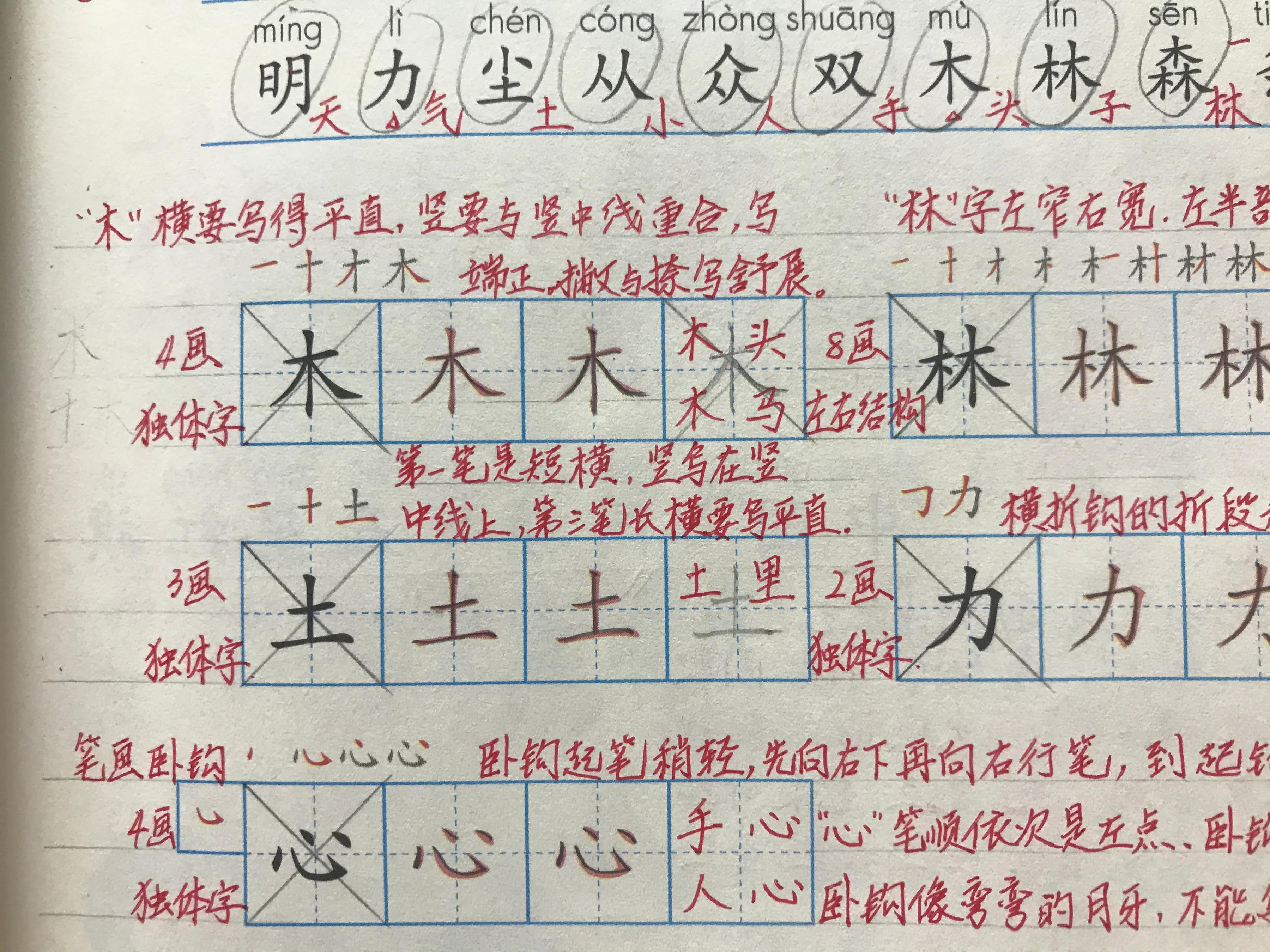 如何进行有效的写字教学,写字教学的基本思路