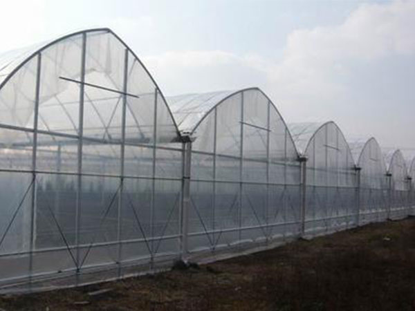 河北遮阳连栋薄膜大棚承建,连栋薄膜温室大棚效果图讲解