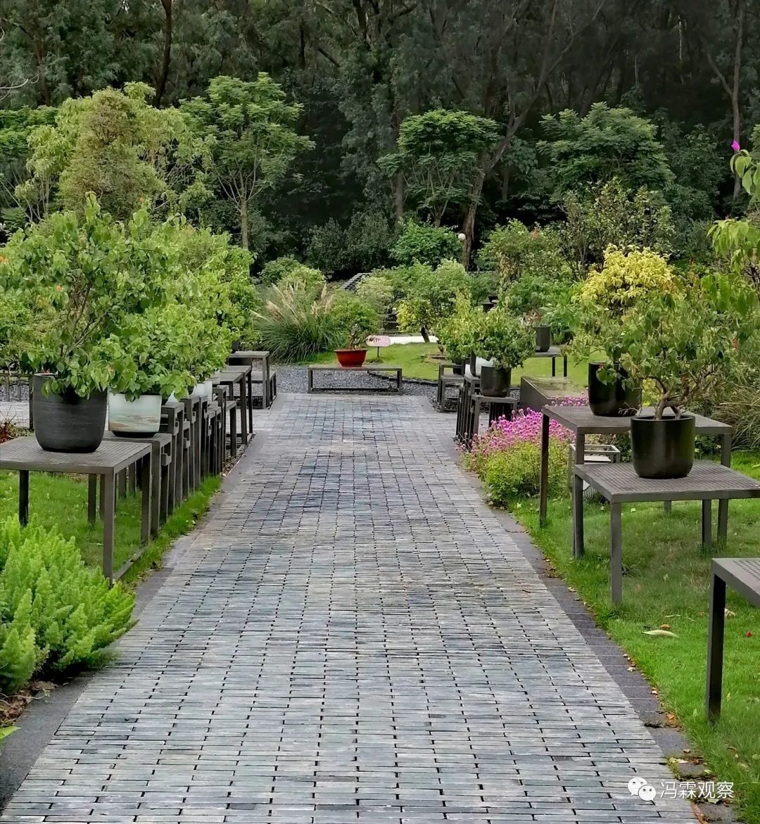 连载（12）：从清茶中飘出来的悠美短文！（文化观察之126）