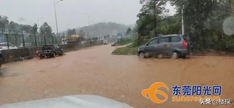 东莞遇暴雨哪里停车最安全,广东暴雨如何防止车被淹
