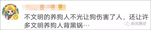 女子遛狗不牵绳！男子遭狗撕咬*体下**受伤，狗主人四天不露面