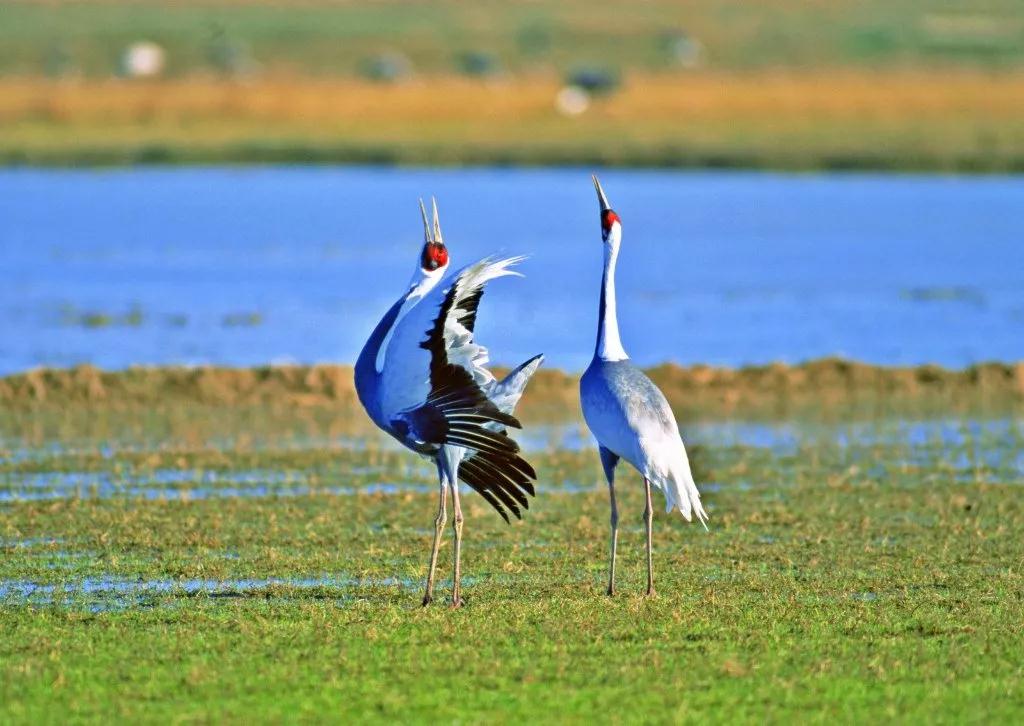 邂逅丽江住宿客栈,丽江适合情侣住的客栈