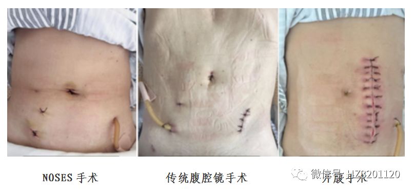 创新升级高质量发展包括什么,创新提升质量